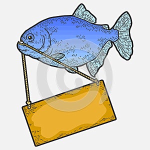 Piranha fish with wooden sign color. Sketch scratch board imitation.