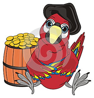Pirate bird and money
