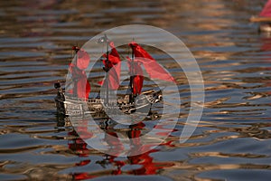 Pirate boat with red sails