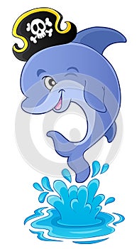 Pirate dolphin theme image 1