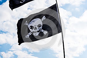 Pirate flags in the wind