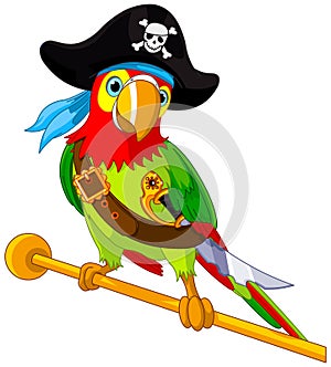 Pirate Parrot