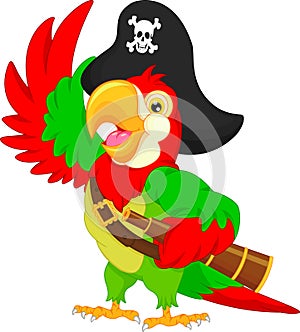 Pirate parrot cartoon