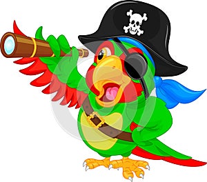 Pirate parrot cartoon