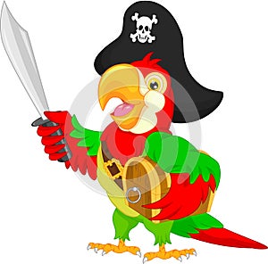 Pirate parrot cartoon