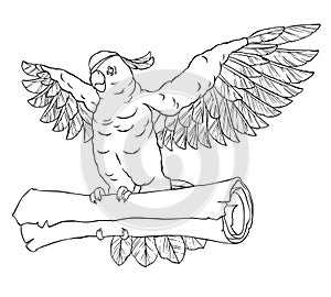 Pirate parrot in flight with outstretched wings and the coin in his paws