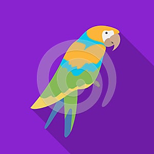 Pirate`s parrot icon in flat style isolated on white background. Pirates symbol stock vector illustration.