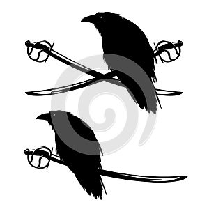 Pirate saber swords and black raven bird vector design set