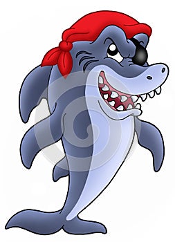 Pirate shark