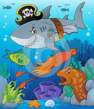 Pirate shark topic image 7