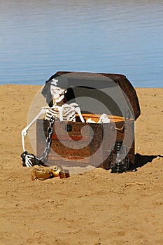 Pirate Skeleton photo