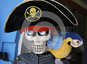 Pirate Skeleton with parrot