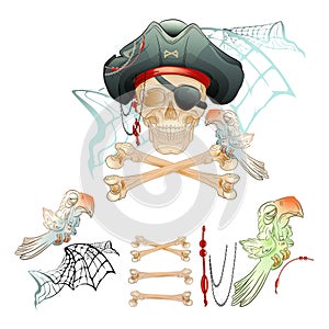 463_pirate skull, bones, parrot