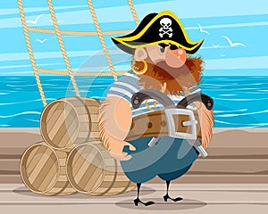 Pirate standing on a ship