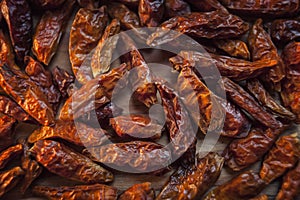 Piri piri chili peppers