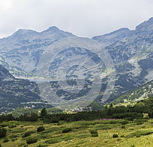 Pirin Mountains, Bulgaria, summer landscape