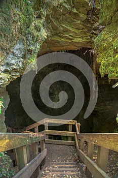 Piripiri cave at New Zealand
