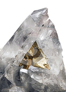 Pirite in crystal quartze