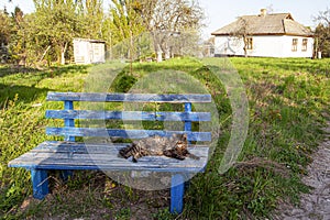 Pirogovo museumn near Kyiv in the spring time