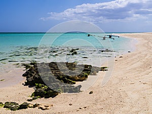 Pirogues moored on white sand beach, Nosy Ve island, Indian Ocean, Madagascar