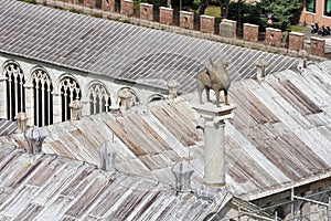 Pisa Camposanto cemetery roof