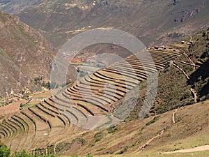 Pisac, Peruvian Terraced Lands