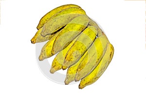 Pisang Awak banana on white background