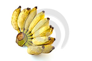 Pisang Awak banana on white background
