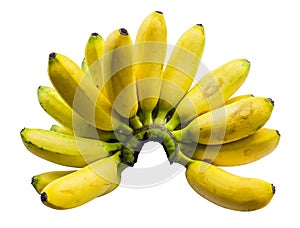 Pisang Mas banana