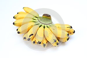 Pisang mas banana or golden banana