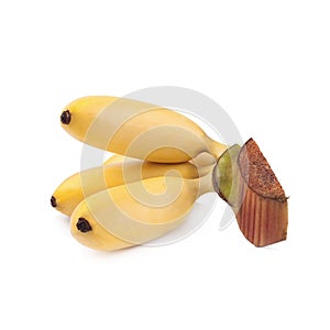 Pisang Mas yellow banana on white background