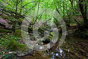 The Pisas in the Merindades