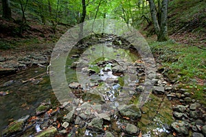 The Pisas in Merindades