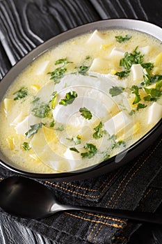 Pisca andina is a traditional Venezuelan breakfast of chicken broth with potatoes, eggs, cheese close-up in a bowl. vertical