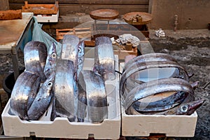 Piscaria, the street daily market in Catania Sicily Italy. Fresh fish, meat, vegetables