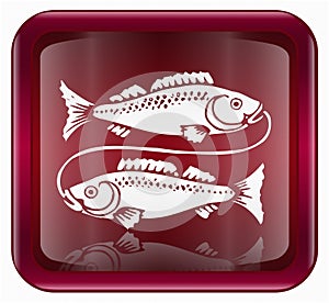 Pisces zodiac icon red.