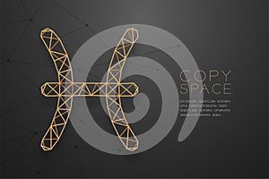 Pisces Zodiac sign wireframe Polygon golden frame structure, For