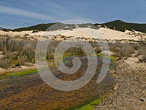 Piscinas, dune landscape at the Costa Verde, Sardinia