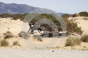 Piscinas, dune landscape, Sardinia, Italy