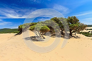 Piscinas dune - Sardinia, Italy