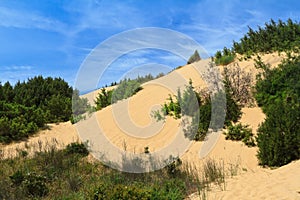 Piscinas dunes, Sardinia, Italy