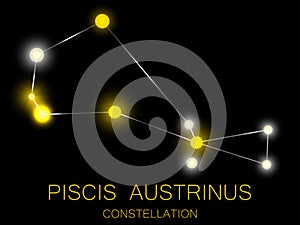 Piscis Austrinus constellation. Bright yellow stars in the night sky. A cluster of stars in deep space, the universe. Vector photo