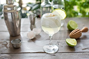 Pisco Sour Cocktail