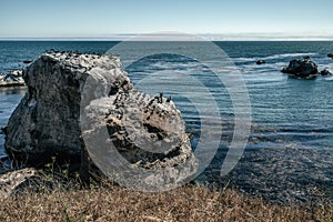 Pismo Beach Cliffs and Flock of Birds. Horizon Over the Ocean.