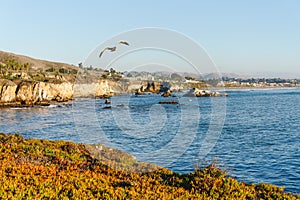 Pismo Beach cliffs and ocean view. Pismo Beach  CA