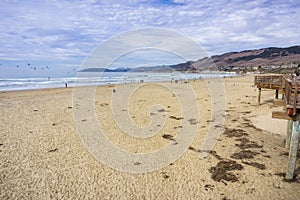 Pismo State Beach on a cloudy but warm day, California