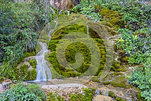 Pisoaia waterfall in the Carpathian mountains, Apuseni, Romania, Alba County