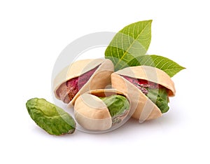 Pistachio with leaves