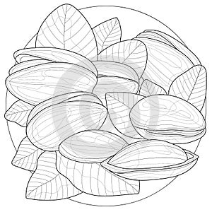 Pistachio nuts.Coloring book antistress for children and adults