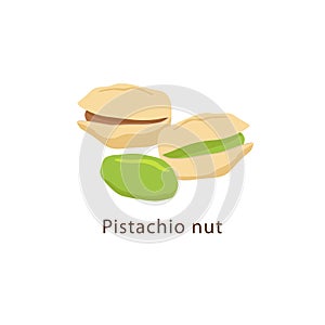 Pistachio nuts isolated on white background vector illustration in flat design.